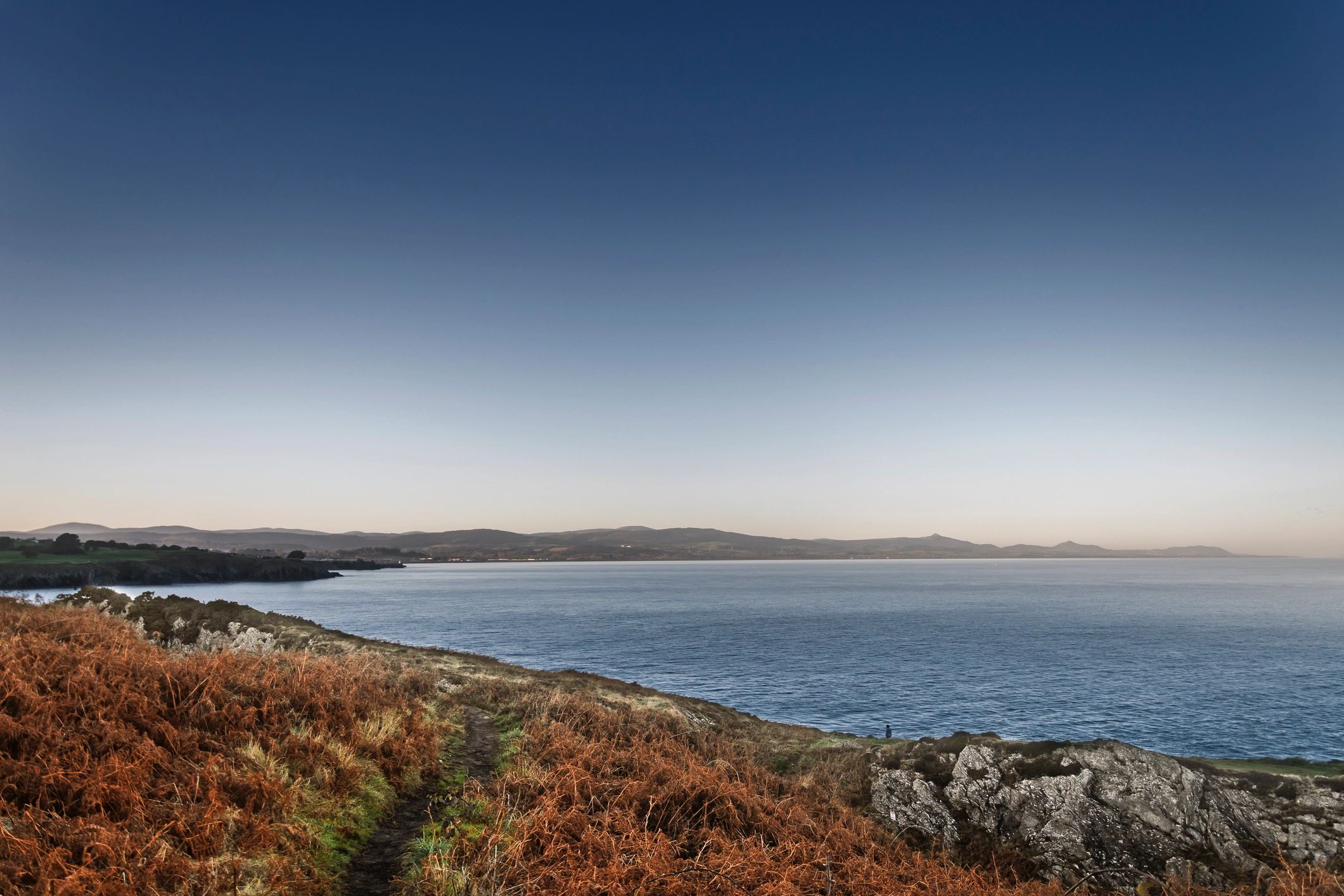 Ireland coastline with winding path at twilight